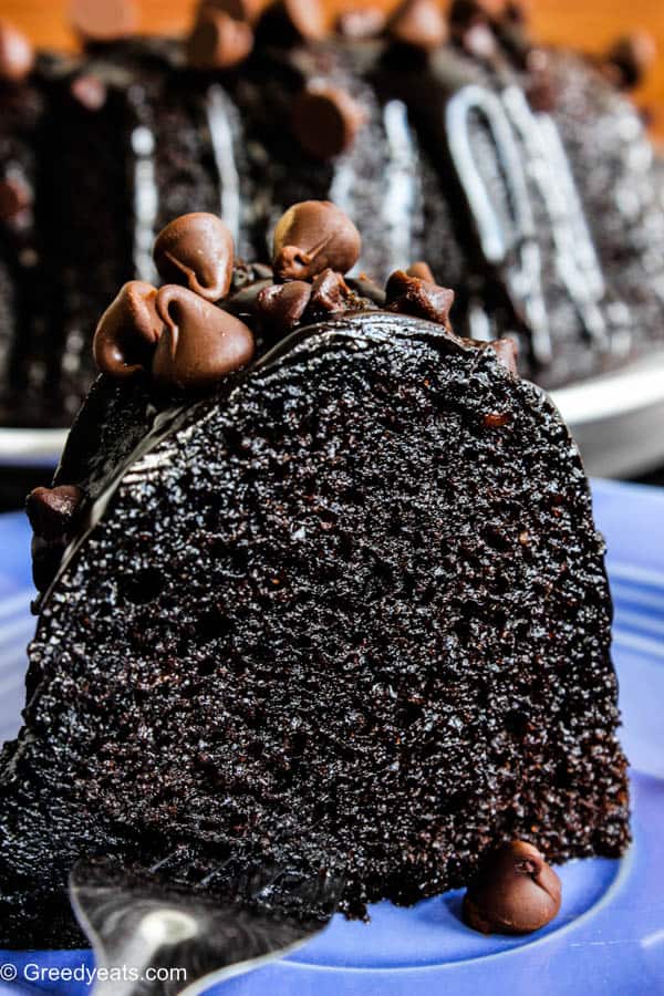 Moist chocolate bundt cake with chocolate chips