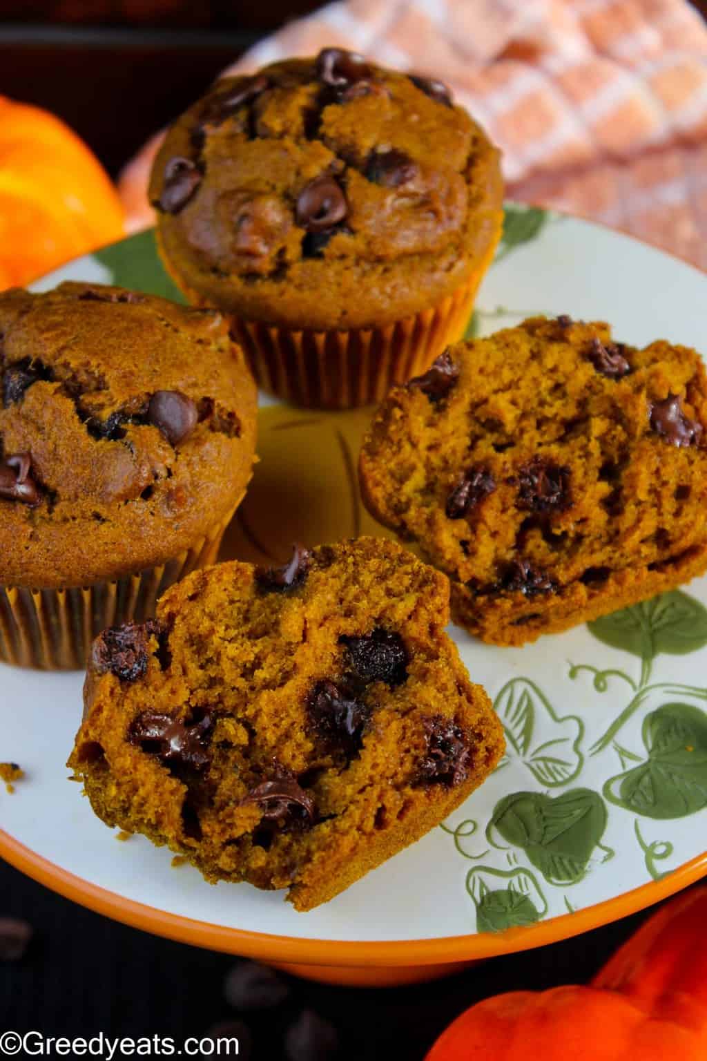 Pumpkin muffins in halves revealing their moist texture and melty choc chips inside.