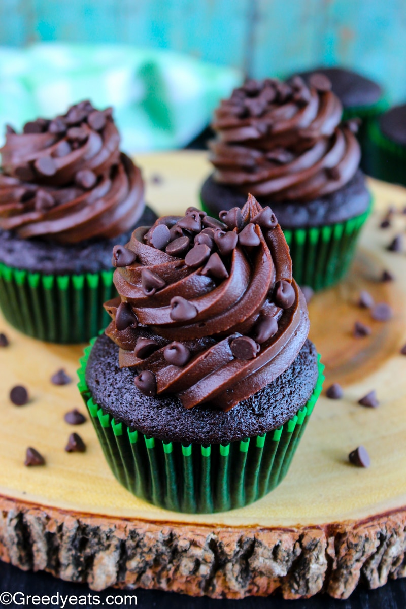 Rich and moist chocolate cupcakes frosted with chocolate frosting.