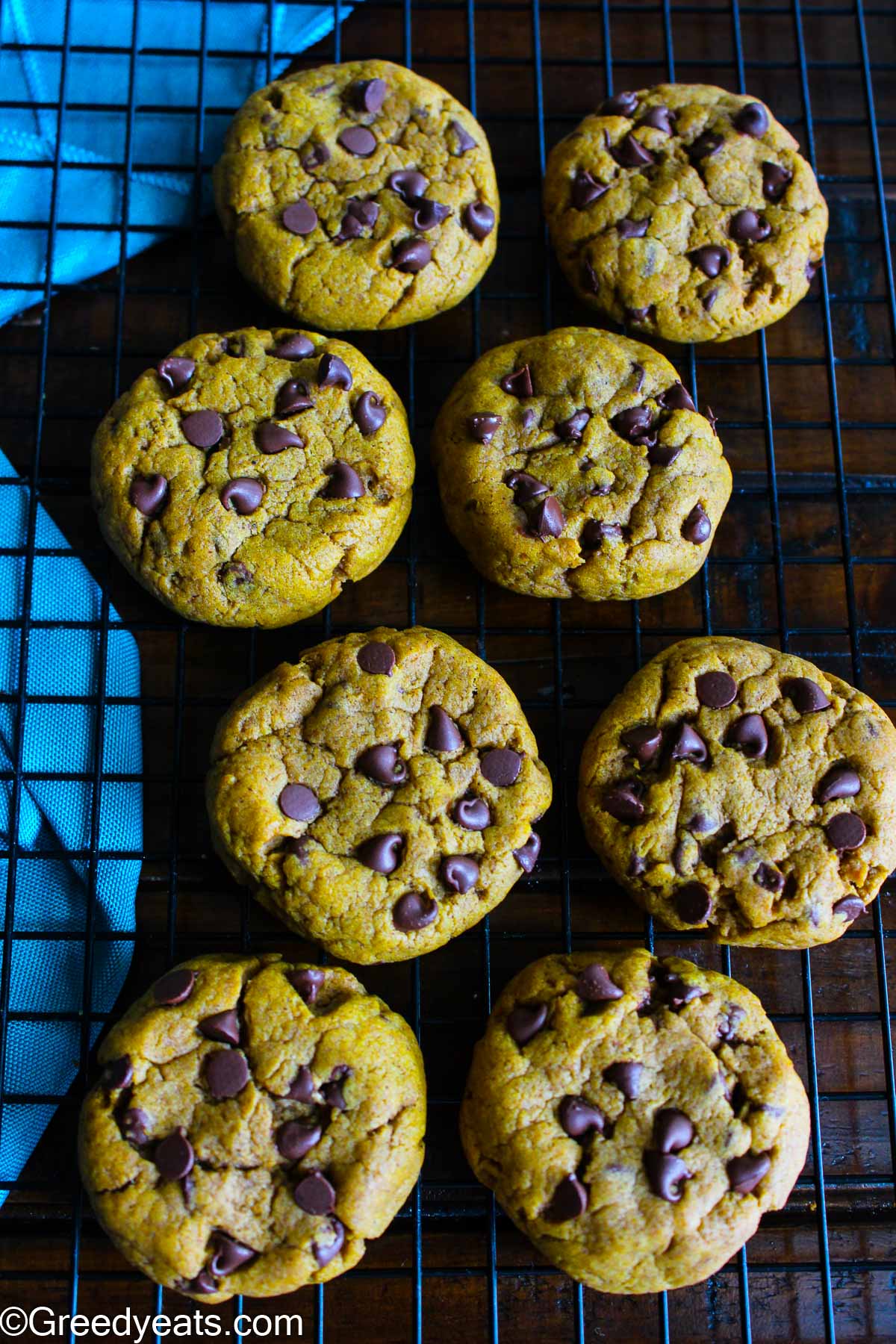 Freshly baked homemade pumpkin Cookies cooling down on a wire stand.