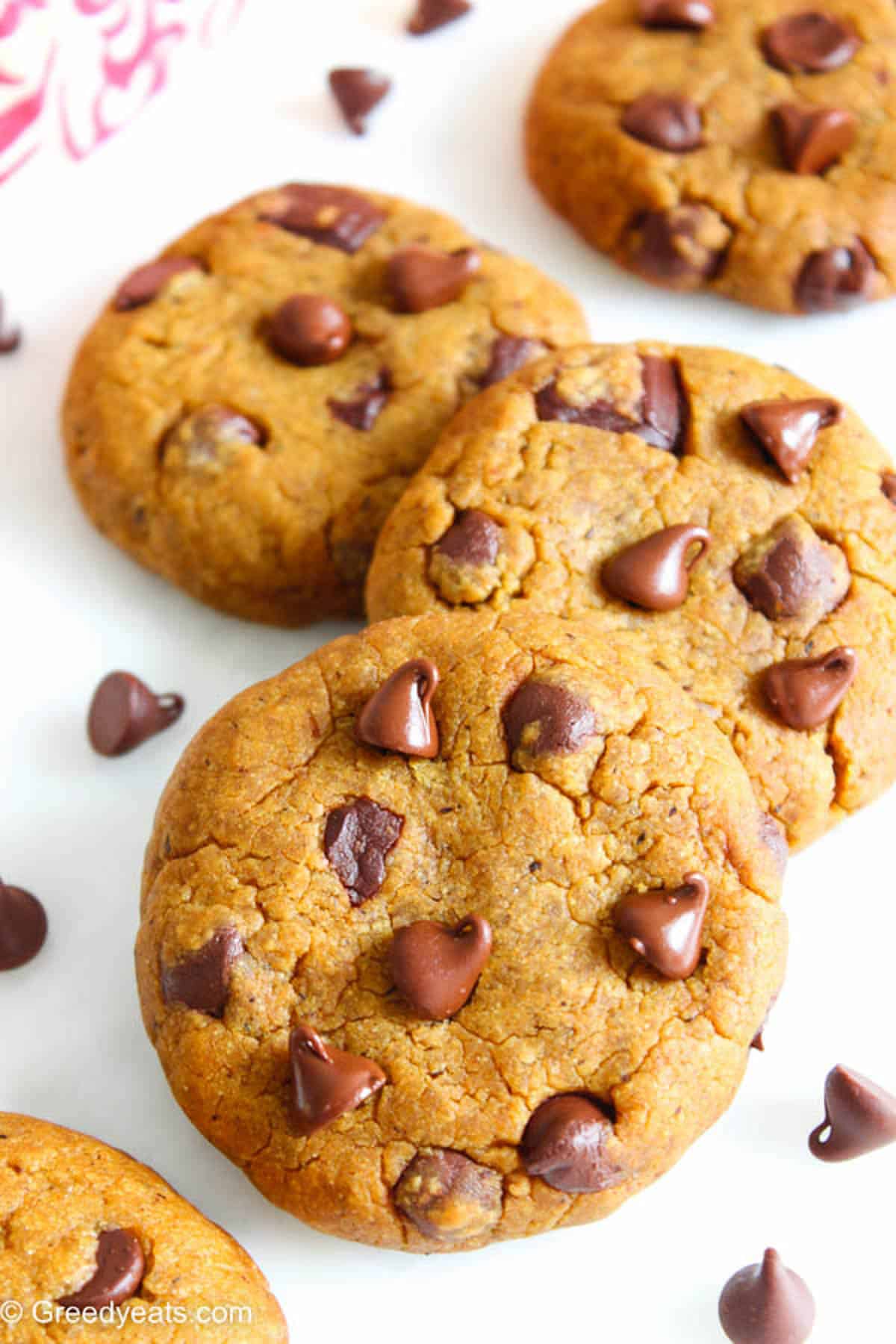 Thick and chewy pumpkin spice cookies loaded with melty chocolate chips and fall spices.