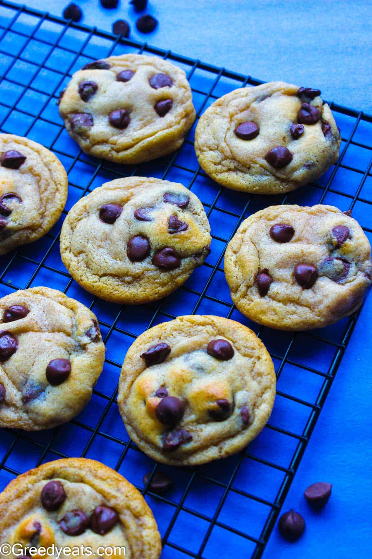 Soft and thick chocolate chip cookies made with brown butter cooling on a wire stand.