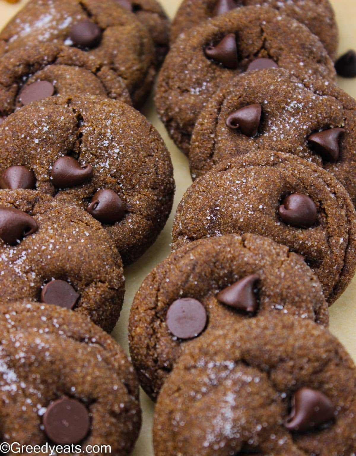 Thick, soft and chewy chocolate Gingerbread cookies with chocolate chips and rolled in granulated sugar.