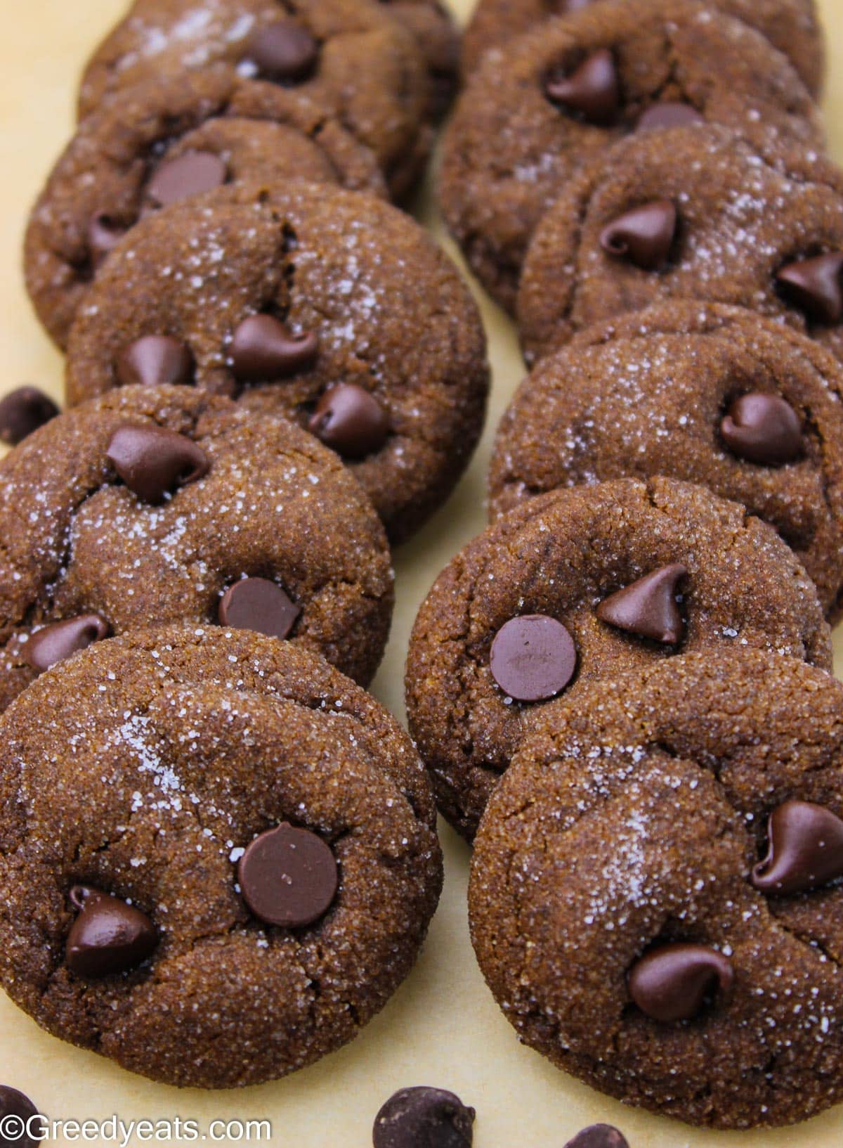 Thick, crinkly, soft and perfectly spiced Chocolate Gingerbread Cookies with gooey chocolate chips.