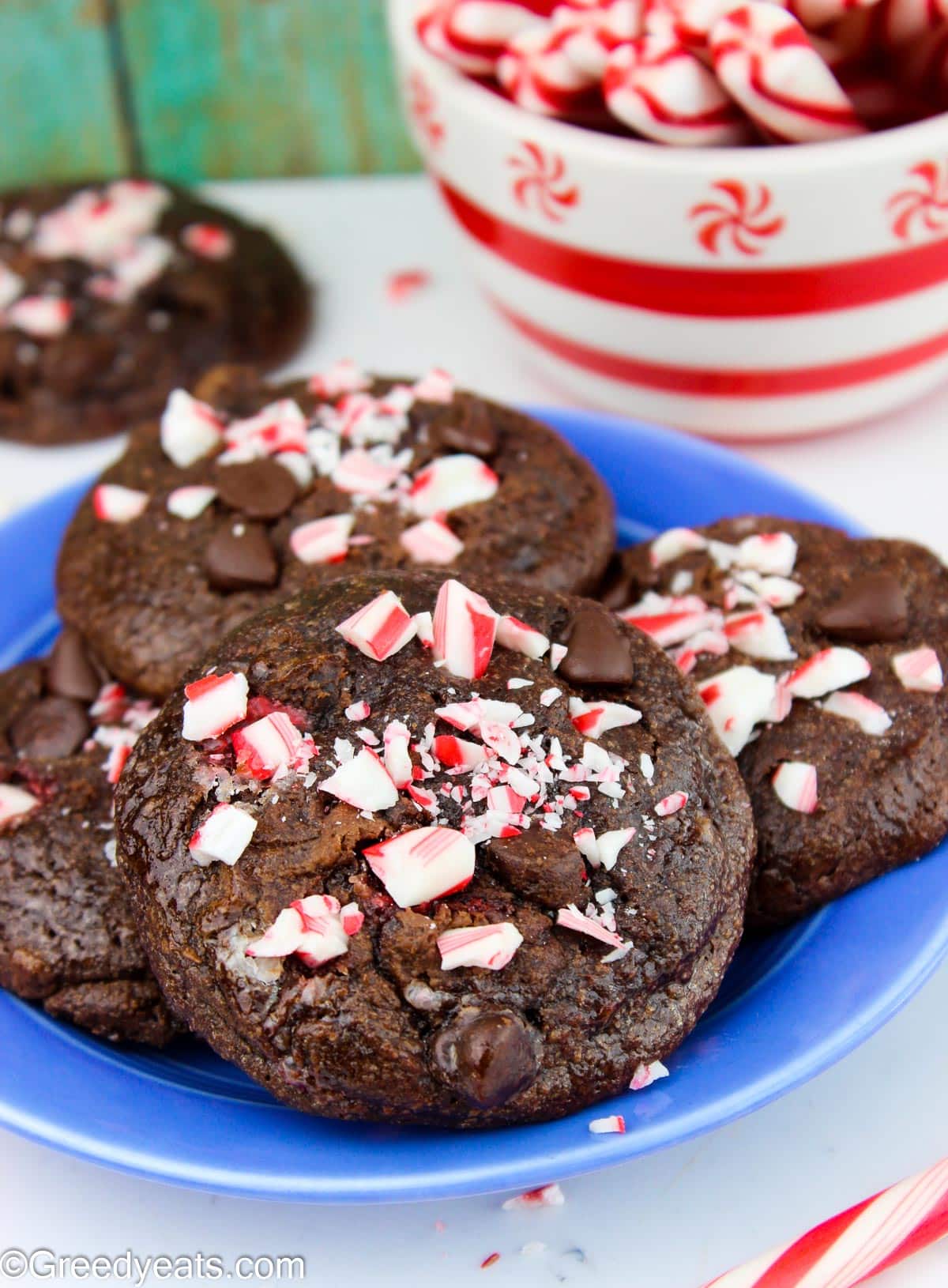 Soft, chewy and easy to make Chocolate Peppermint Cookies topped with crushed candy canes